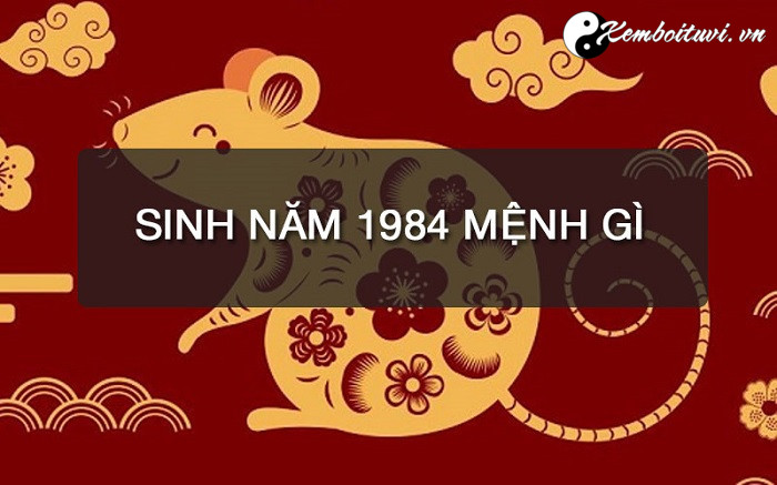 nam-1984-la-nam-con-gi-sinh-nam-1984-la-menh-gi-tuoi-gi