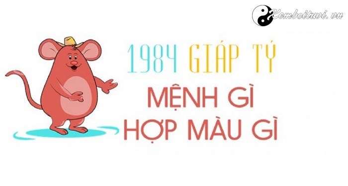 nam-1984-la-nam-con-gi-sinh-nam-1984-la-menh-gi-tuoi-gi