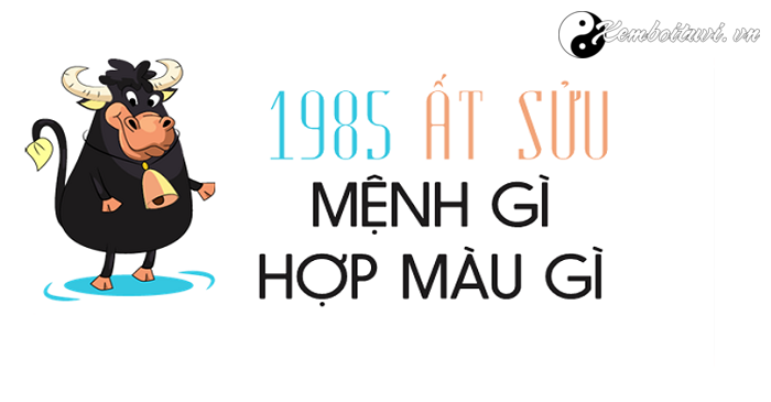 nam-1985-la-nam-con-gi-sinh-nam-1985-la-menh-gi-tuoi-gi