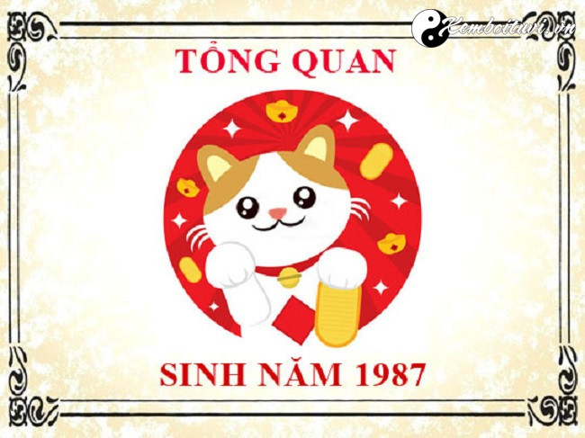 nam-1987-la-nam-con-gi-sinh-nam-1987-la-menh-gi-tuoi-gi