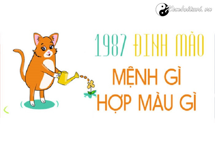 nam-1987-la-nam-con-gi-sinh-nam-1987-la-menh-gi-tuoi-gi