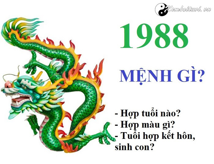 nam-1988-la-nam-con-gi-sinh-nam-1988-la-menh-gi-tuoi-gi