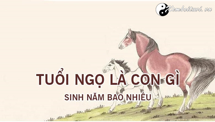 nam-1990-la-nam-con-gi-sinh-nam-1990-la-menh-gi-tuoi-gi