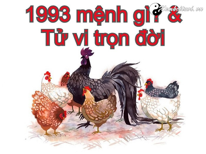 nam-1993-la-nam-con-gi-sinh-nam-1993-la-menh-gi-tuoi-gi