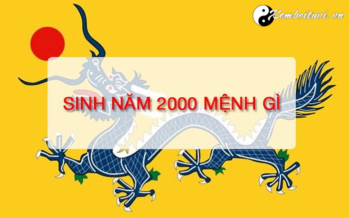 nam-2000-la-nam-con-gi-sinh-nam-2000-la-menh-gi-tuoi-gi