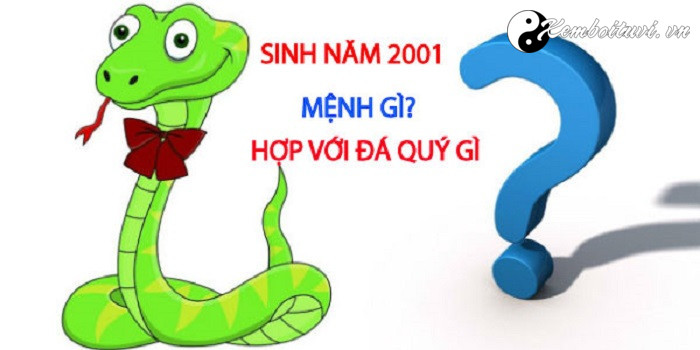 Năm 2001 là năm con gì? Sinh năm 2001 là mệnh gì? Tuổi gì?