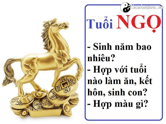 nam-2002-la-nam-con-gi-sinh-nam-2002-la-menh-gi-tuoi-gi