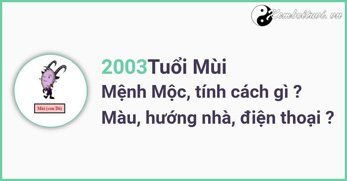 Năm 2003 là năm con gì? Sinh năm 2003 là mệnh gì? Tuổi gì?