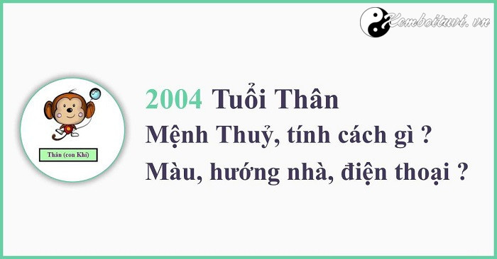 Năm 2004 là năm con gì? Sinh năm 2004 là mệnh gì? Tuổi gì?