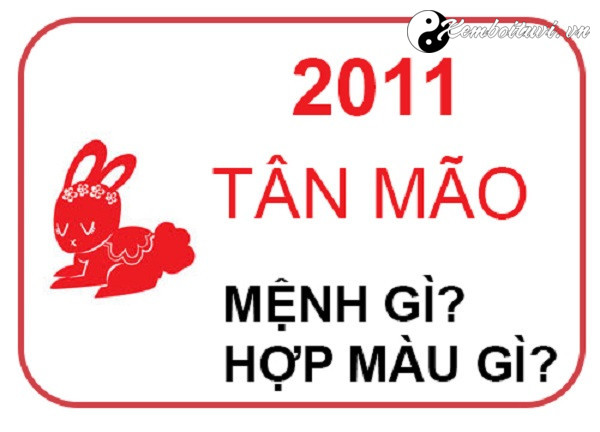 nam-2011-la-nam-con-gi-sinh-nam-2011-la-menh-gi-tuoi-gi