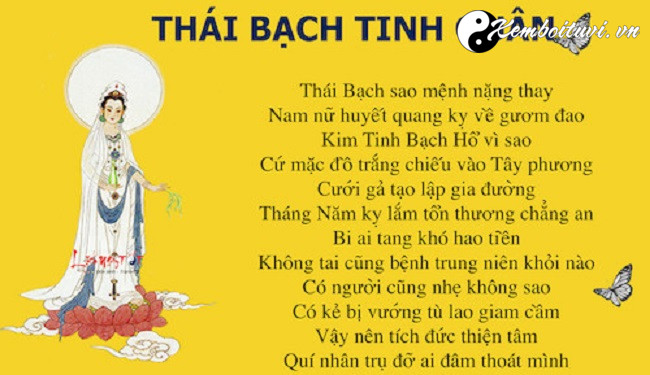 sao-thai-bach-nam-2022