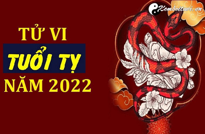 tong-quan-tu-vi-tuoi-ty-nam-nham-dan-2022