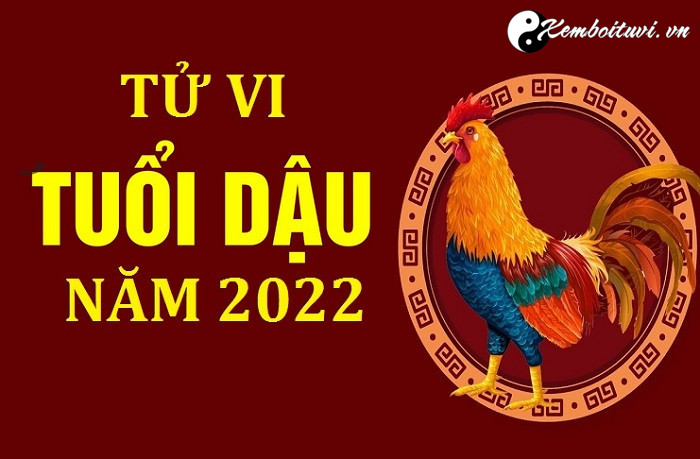 tu-vi-tuoi-dau-nam-nham-dan-2022