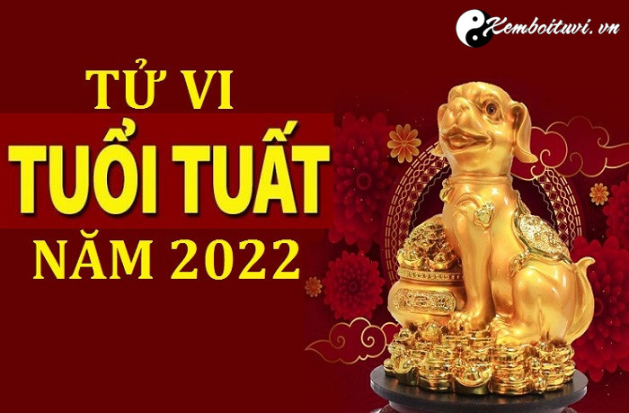 tu-vi-tuoi-tuat-nam-nham-dan-2022