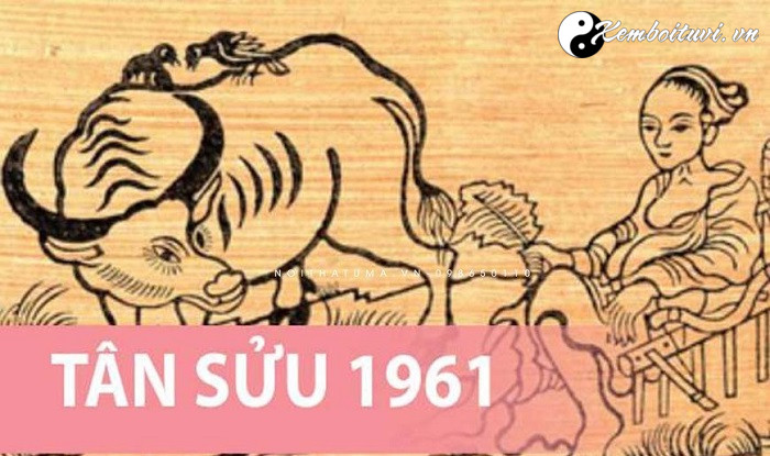 nam-1961-la-nam-con-gi-sinh-nam-1961-la-menh-gi-tuoi-gi