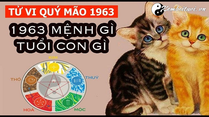 nam-1963-la-nam-con-gi-sinh-nam-1963-la-menh-gi-tuoi-gi