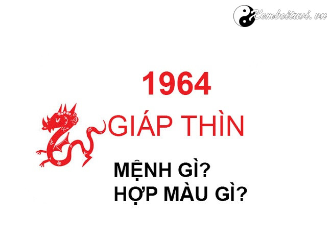 nam-1964-la-nam-con-gi-sinh-nam-1964-la-menh-gi-tuoi-gi