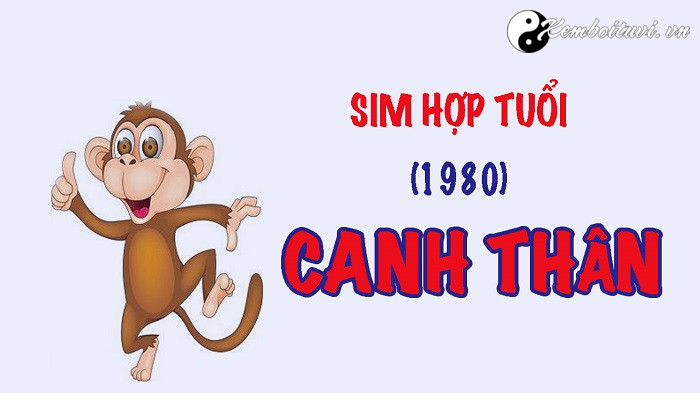 nam-1980-la-nam-con-gi-sinh-nam-1980-la-menh-gi-tuoi-gi