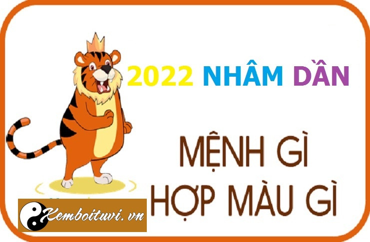 Năm 2022 là năm con gì? Sinh năm 2022 là mệnh gì?