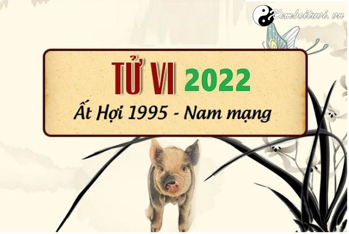 xem-tu-vi-tuoi-at-hoi-nam-2022-nam-mang-1995