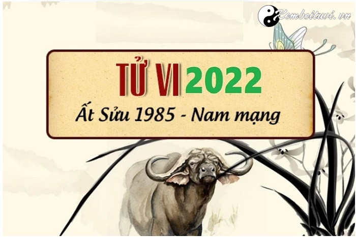 xem-tu-vi-tuoi-at-suu-nam-2022-nam-mang-1985