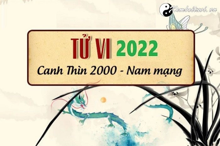 Xem tử vi tuổi Canh Thìn năm 2022 nam mạng 2000