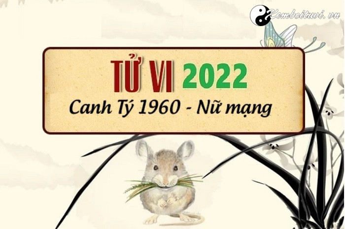 xem-tu-vi-tuoi-canh-ty-nam-2022-nu-mang-1960