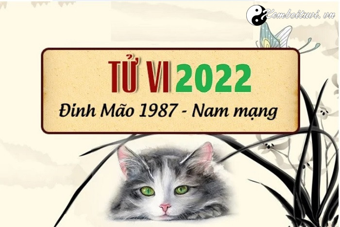 xem-tu-vi-tuoi-dinh-mao-nam-2022-nam-mang-1987