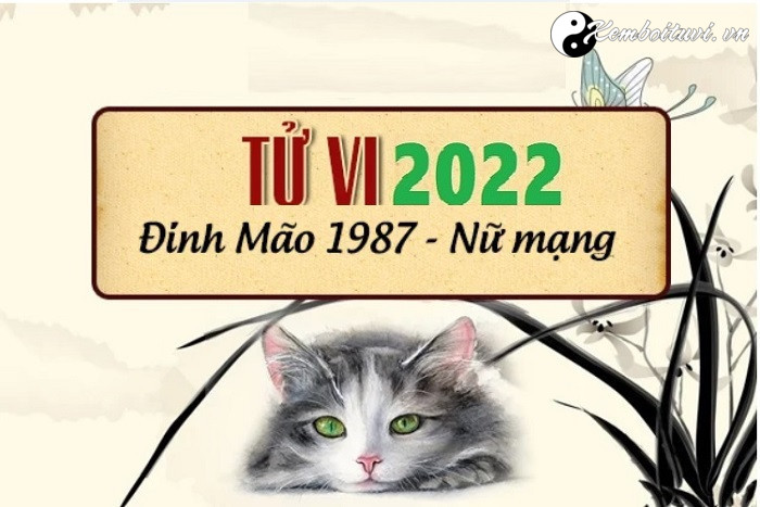 xem-tu-vi-tuoi-dinh-mao-nam-2022-nu-mang-1987