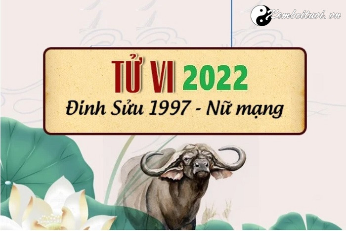 Xem tử vi tuổi Đinh Sửu năm 2022 nữ mạng 1997