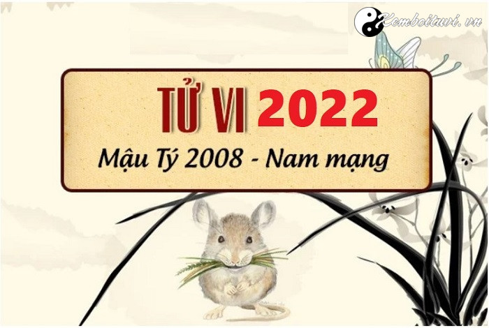 Xem tử vi tuổi Mậu Tý năm 2022 nam mạng 2008