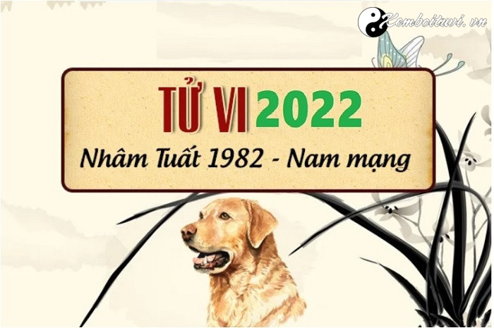 xem-tu-vi-tuoi-nham-tuat-nam-2022-nam-mang-1982