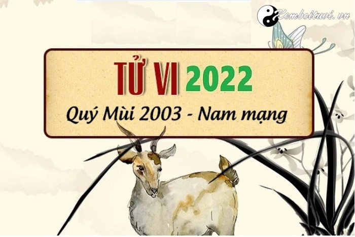 Xem tử vi tuổi Quí Mùi năm 2022 nam mạng 2003