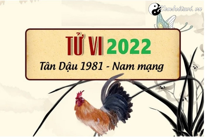 xem-tu-vi-tuoi-tan-dau-nam-2022-nam-mang-1981