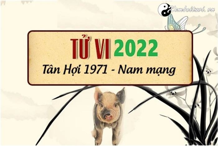 xem-tu-vi-tuoi-tan-hoi-nam-2022-nam-mang-1971