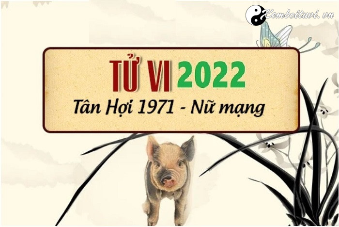 xem-tu-vi-tuoi-tan-hoi-nam-2022-nu-mang-1971