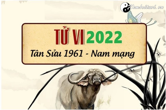 xem-tu-vi-tuoi-tan-suu-nam-2022-nam-mang-1961