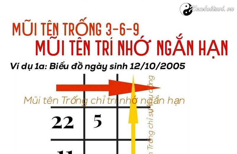 bi-mat-mui-ten-trong-3-6-9-tri-nho-tot-hay-kem