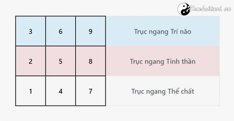 bieu-do-ngay-sinh-la-gi-cach-lap-bieu-do-ngay-sinh