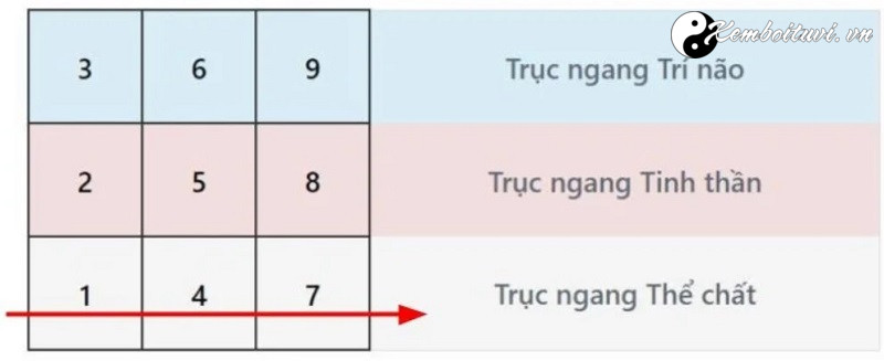 bieu-do-ngay-sinh-la-gi-cach-lap-bieu-do-ngay-sinh