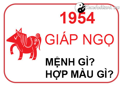 nam-1954-la-nam-con-gi-sinh-nam-1954-la-menh-gi-tuoi-gi