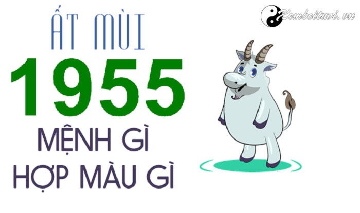 nam-1955-la-nam-con-gi-sinh-nam-1955-la-menh-gi-tuoi-gi