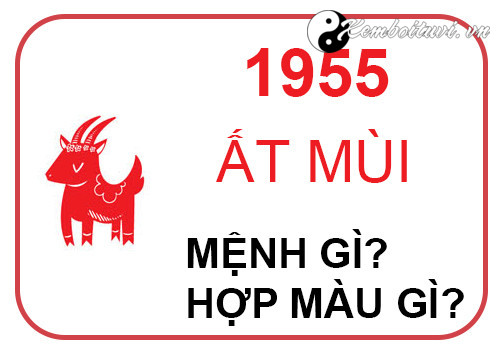 nam-1955-la-nam-con-gi-sinh-nam-1955-la-menh-gi-tuoi-gi