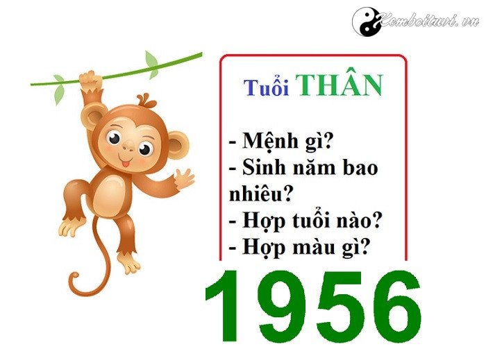 nam-1956-la-nam-con-gi-sinh-nam-1956-la-menh-gi-tuoi-gi