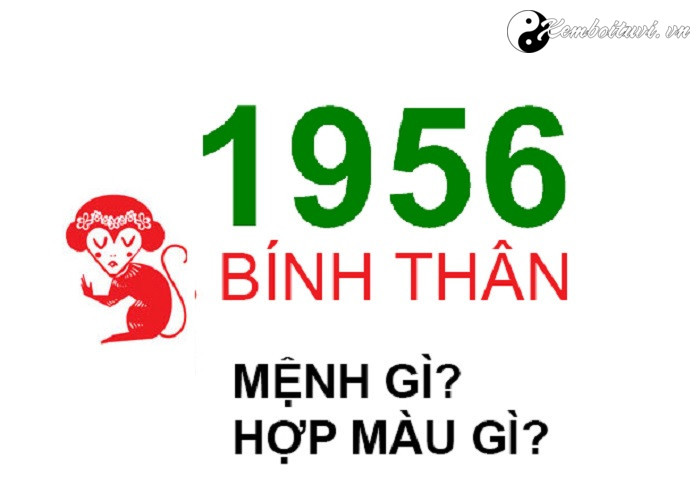 nam-1956-la-nam-con-gi-sinh-nam-1956-la-menh-gi-tuoi-gi