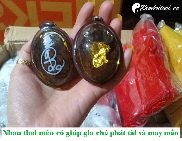 nhau-thai-meo-co-giup-gia-chu-phat-tai-va-may-man