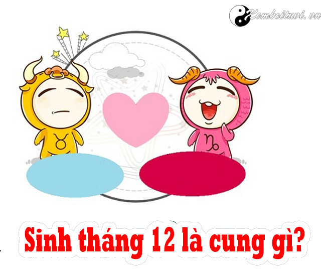 sinh-thang-12-la-cung-gi