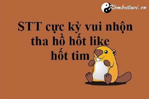 stt-hai-huoc-ve-cuoc-song-tinh-yeu-va-tinh-ban