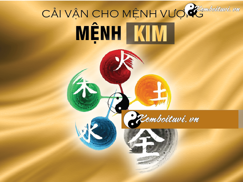 cai-van-cho-bat-tu-vuong-kim-nhu-the-nao-tot-nhat