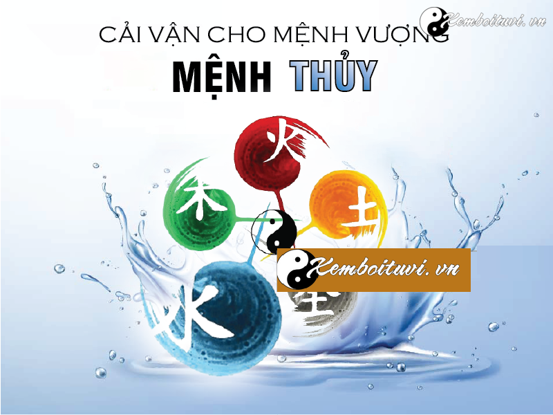 cai-van-cho-bat-tu-vuong-thuy-the-nao